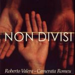 Nondivisi