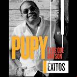 Exitos de Pupy y Los que Son Son